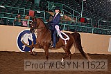 09yn-11522 proof