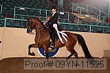 09yn-11525 proof