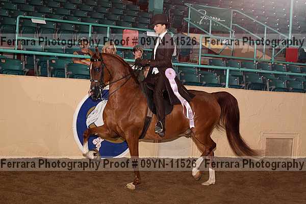 Proof 09yn-11526