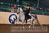 09yn-11527 proof