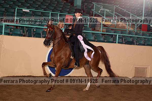 Proof 09yn-11528