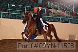 09yn-11528 proof