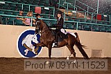 09yn-11529 proof