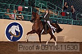 09yn-11530 proof