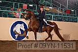 09yn-11531 proof