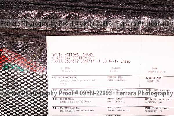 Proof 09yn-22693