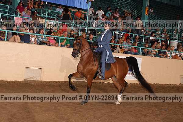 Proof 09yn-22694