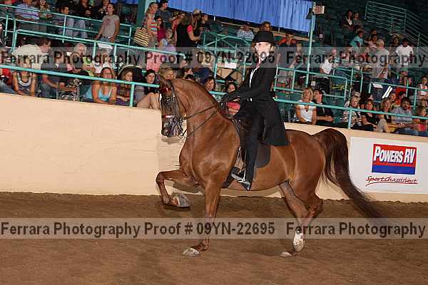 Proof 09yn-22695