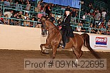 09yn-22695 proof