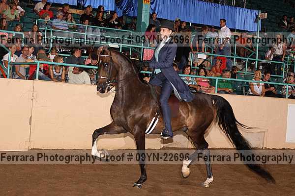 Proof 09yn-22696