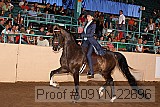 09yn-22696 proof