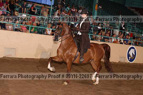 Proof 09yn-22697