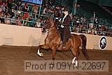 09yn-22697 proof