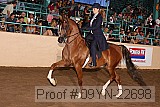 09yn-22698 proof
