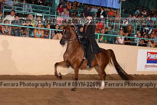 Proof 09yn-22699