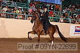 09yn-22699 proof