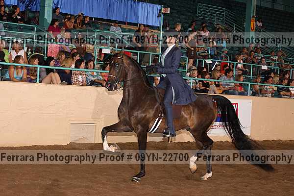 Proof 09yn-22700