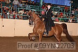 09yn-22703 proof