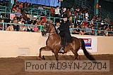 09yn-22704 proof
