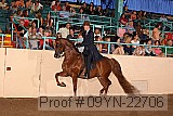 09yn-22706 proof