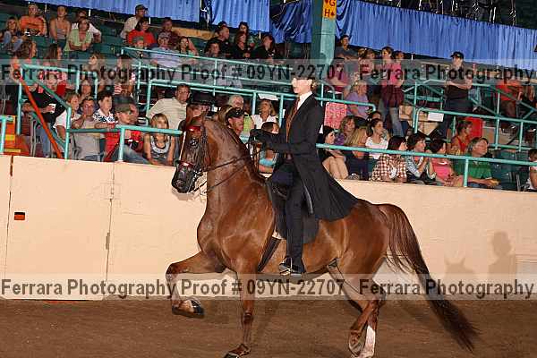 Proof 09yn-22707