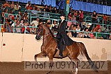 09yn-22707 proof