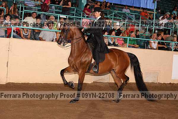 Proof 09yn-22708