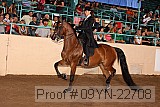 09yn-22708 proof