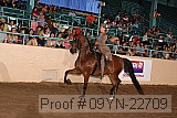 09yn-22709 proof