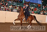 09yn-22711 proof