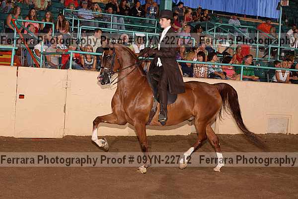 Proof 09yn-22712