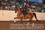 09yn-22712 proof