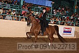 09yn-22713 proof