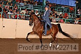 09yn-22714 proof