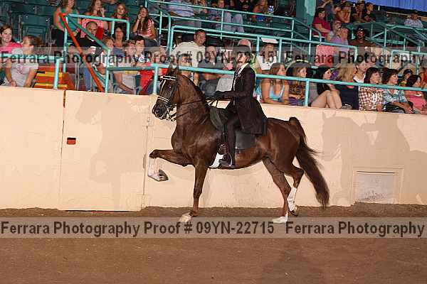 Proof 09yn-22715
