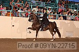 09yn-22715 proof