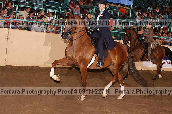 Proof 09yn-22716