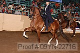 09yn-22716 proof