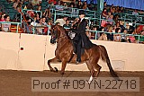 09yn-22718 proof