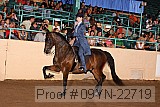 09yn-22719 proof