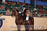 09yn-22728 proof