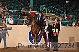 09yn-22734 proof
