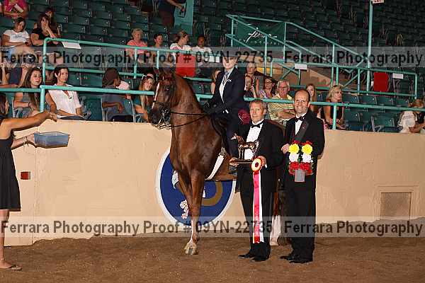 Proof 09yn-22735
