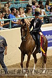 09yn-22736 proof