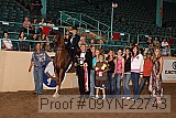 09yn-22743 proof
