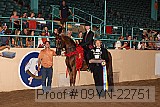 09yn-22751 proof