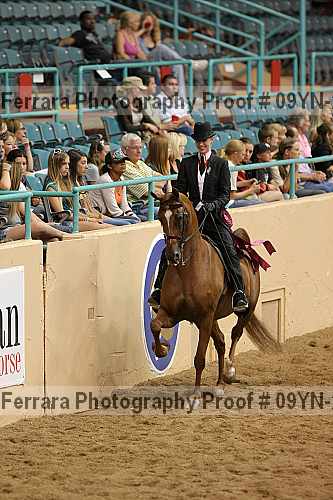 Proof 09yn-22753