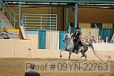 09yn-22763 proof