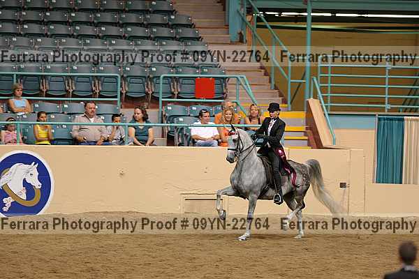 Proof 09yn-22764