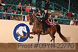 09yn-22770 proof